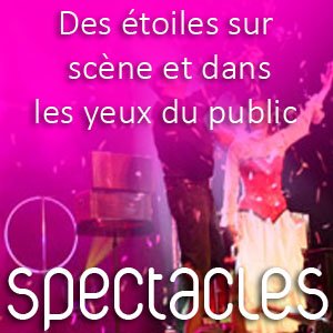 technique spectacles vendée